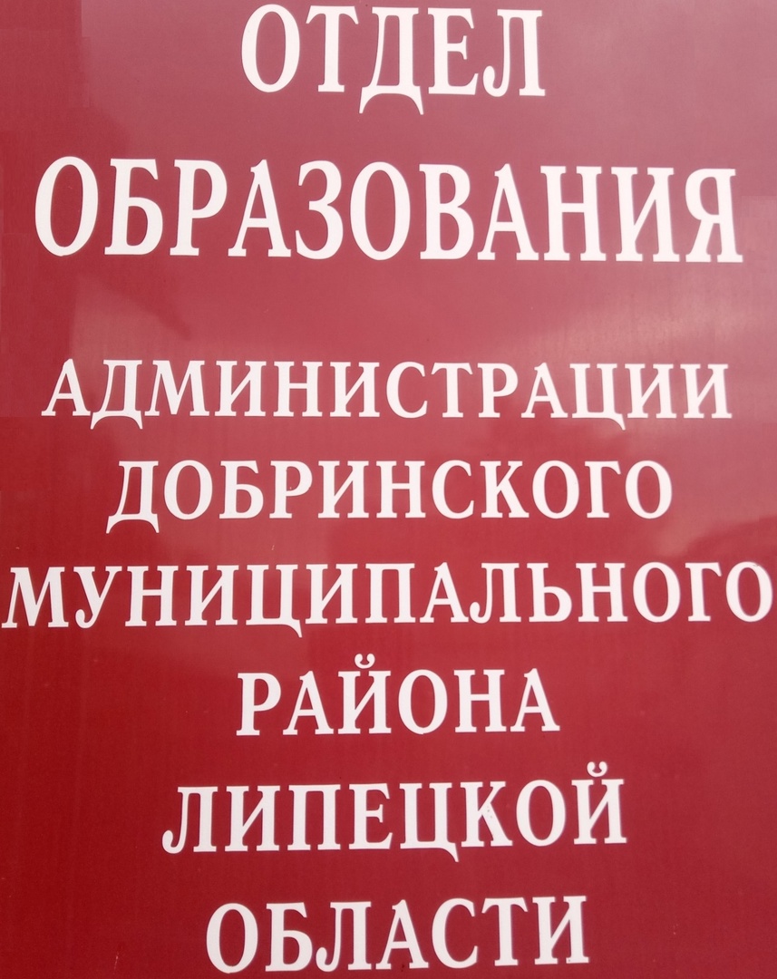 Организация:.